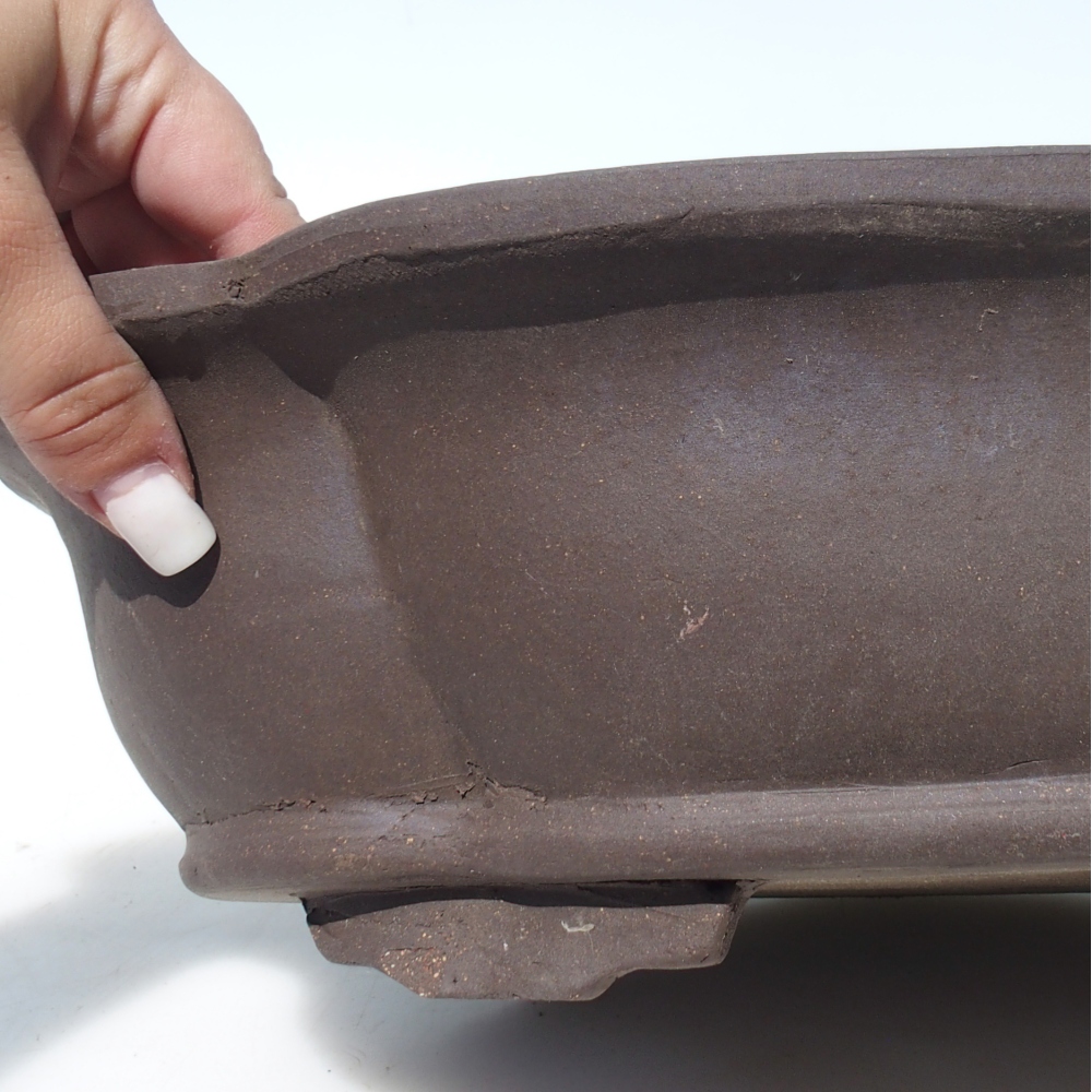 Bonsai tál 40 x 32 x 10,5 cm nyírfa barna