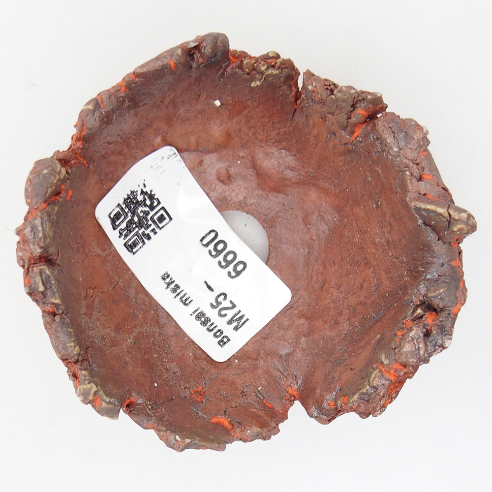 Kerámia kagyló 7 x 7 x 4 cm , narancssárga színű