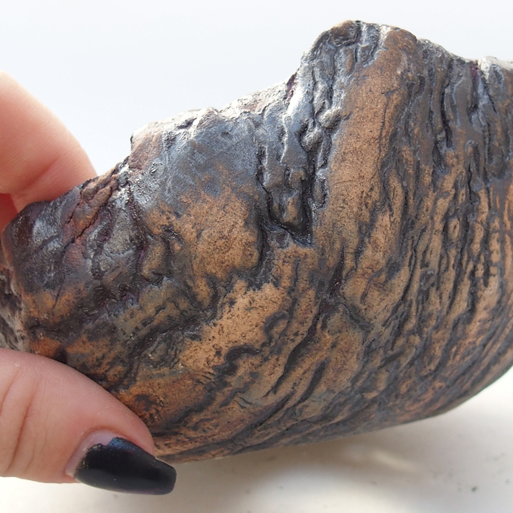 Kerámia kagyló 13,5 x 12,5 x 7,5 cm , színe barna