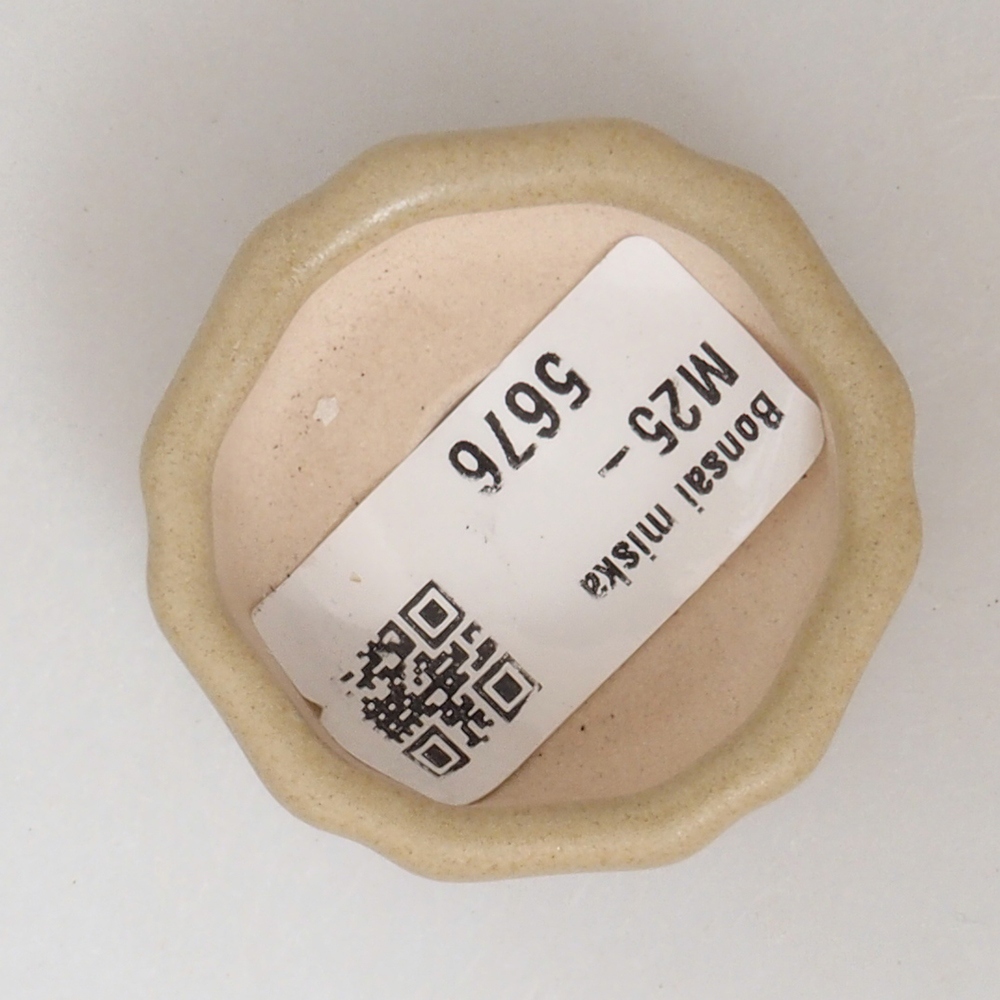 Mini bonsai tál 4,5 x 4,5 x 2 cm, barna