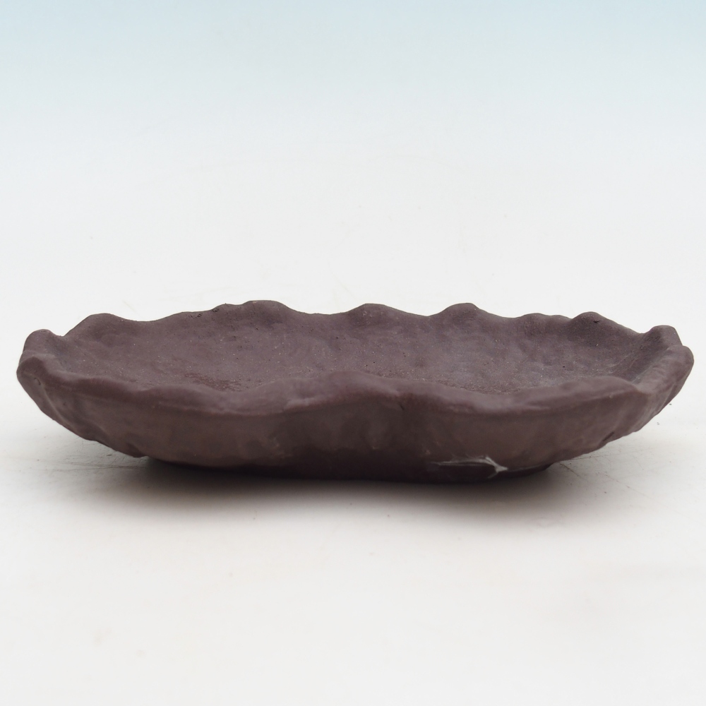 Kerámia kagyló 17 x 12 x 3 cm , színe barna