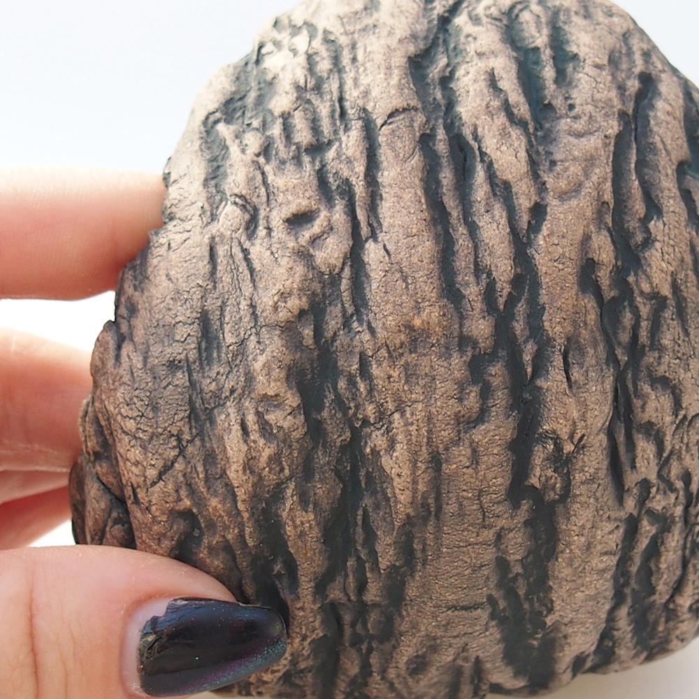 Kerámia kagyló 10 x 9,5 x 10 cm , barna színű