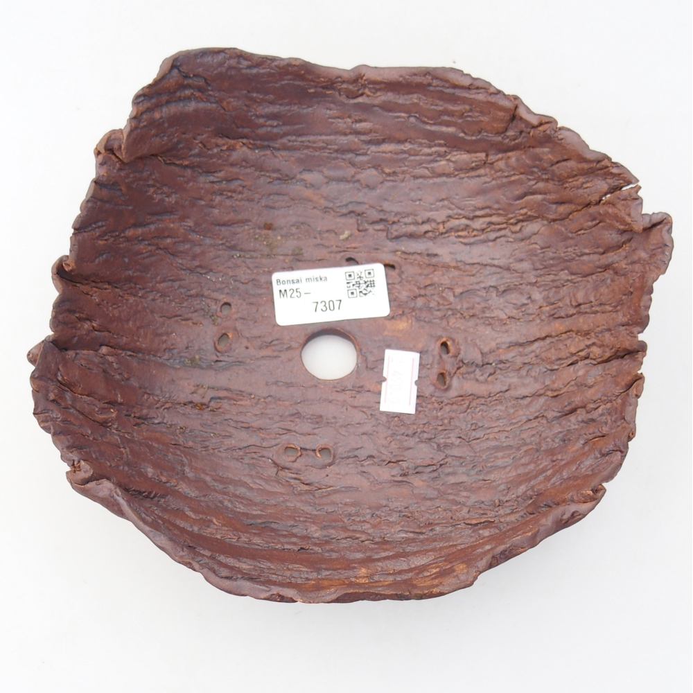 Kerámia kagyló 20 x 17,5 x 7 cm , barna színű