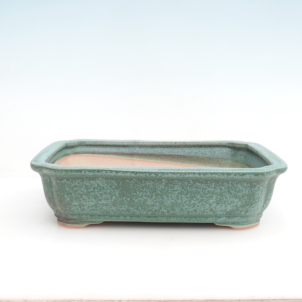 Bonsai tál + csészealj H07 - 30 x 20,5 x 8 cm.