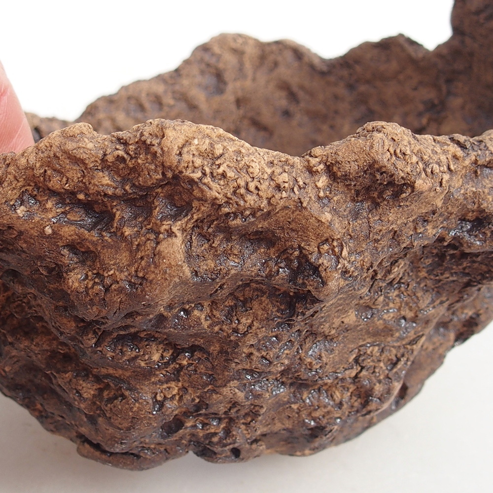 Kerámia kagyló 13,5 x 12 x 11,5 cm , színe barna