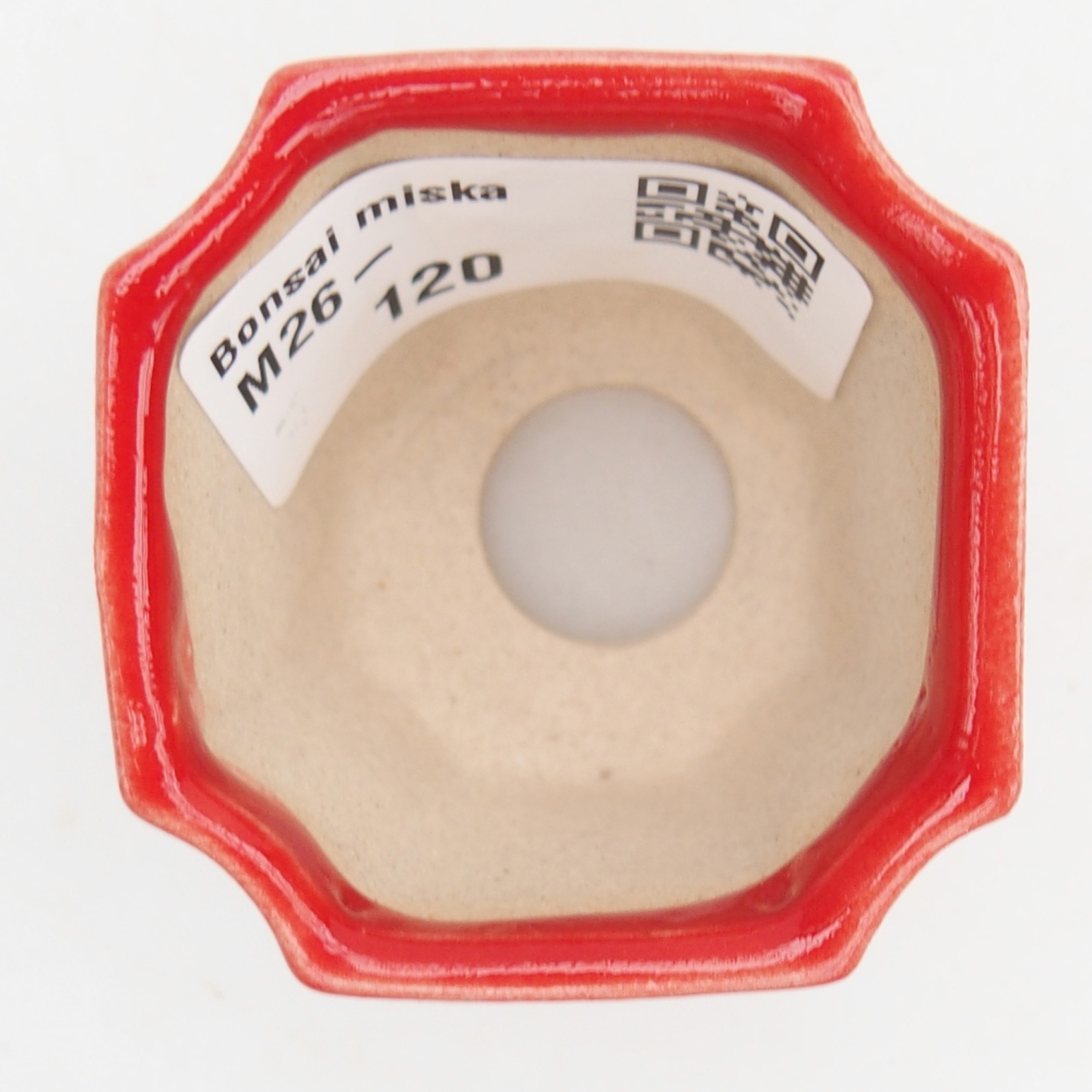 Mini bonsai tál 4,5 x 4,5 x 4 cm, piros színben