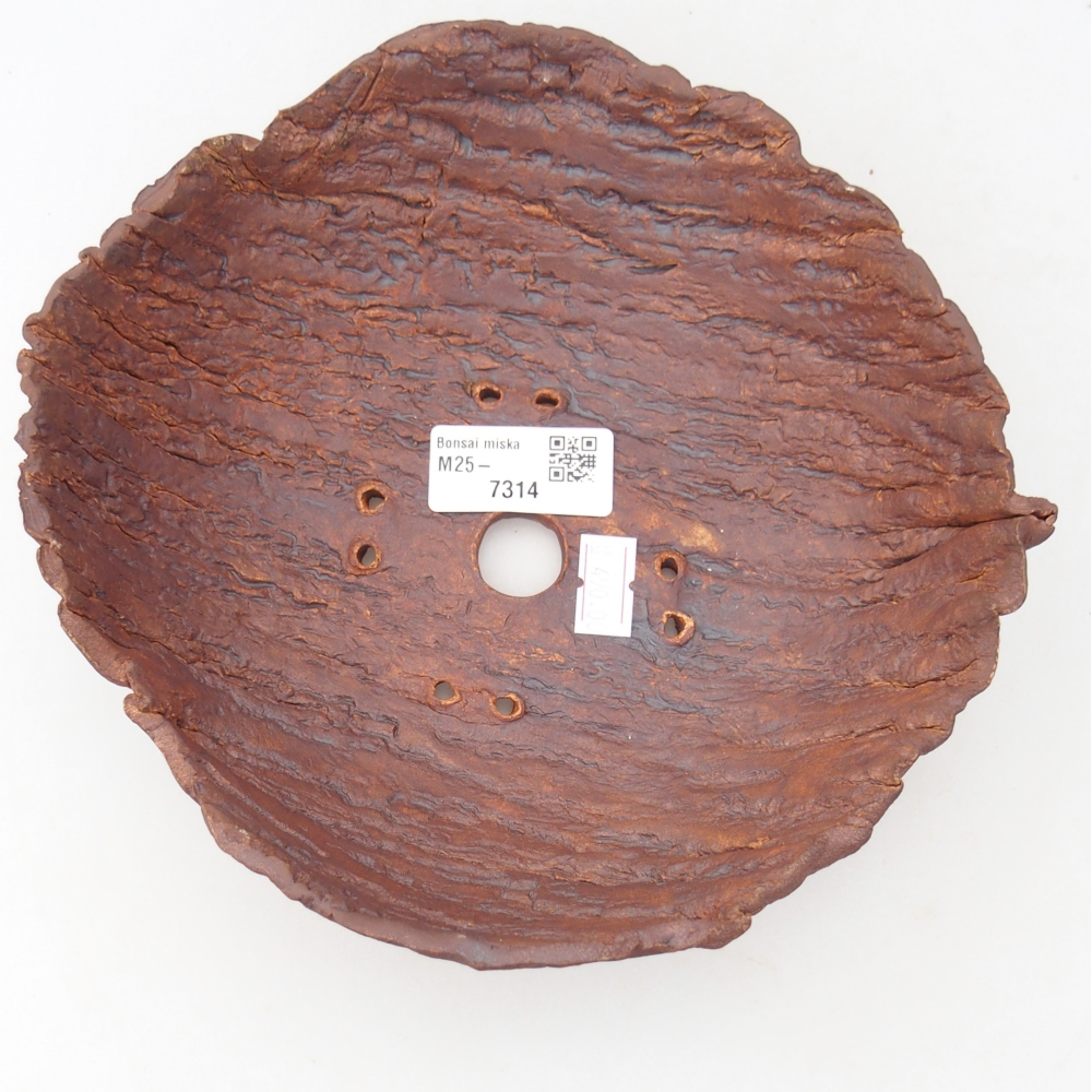 Kerámia kagyló 19 x 19 x 6,5 cm , színe barna