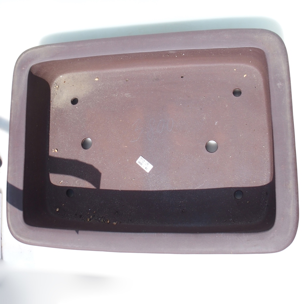 Bonsai tál 65 x 48 x 16 cm - barna