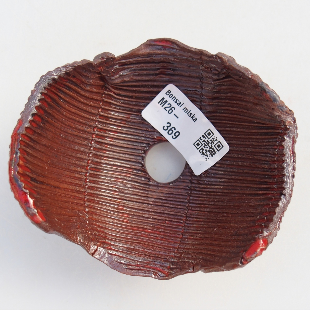 Kerámia kagyló 10 x 10 x 6 cm , barna színű