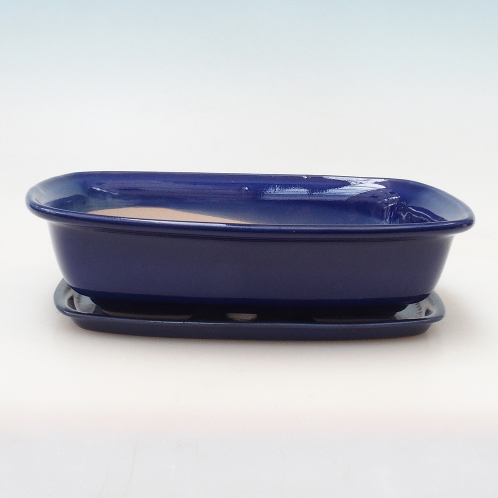 Bonsai tál + csészealj H08 - 25 x 19,5 x 6 cm. - kék