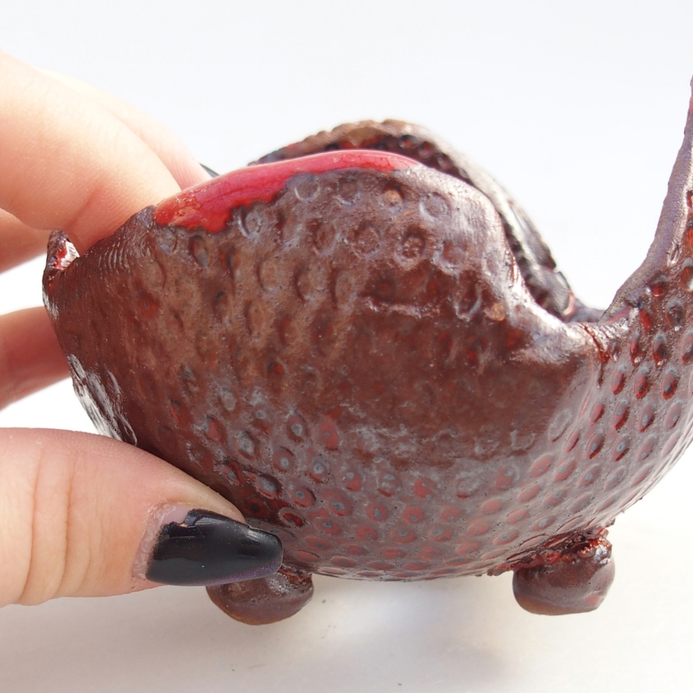 Kerámia kagyló 9,5 x 9 x 7,5 cm , színe barna