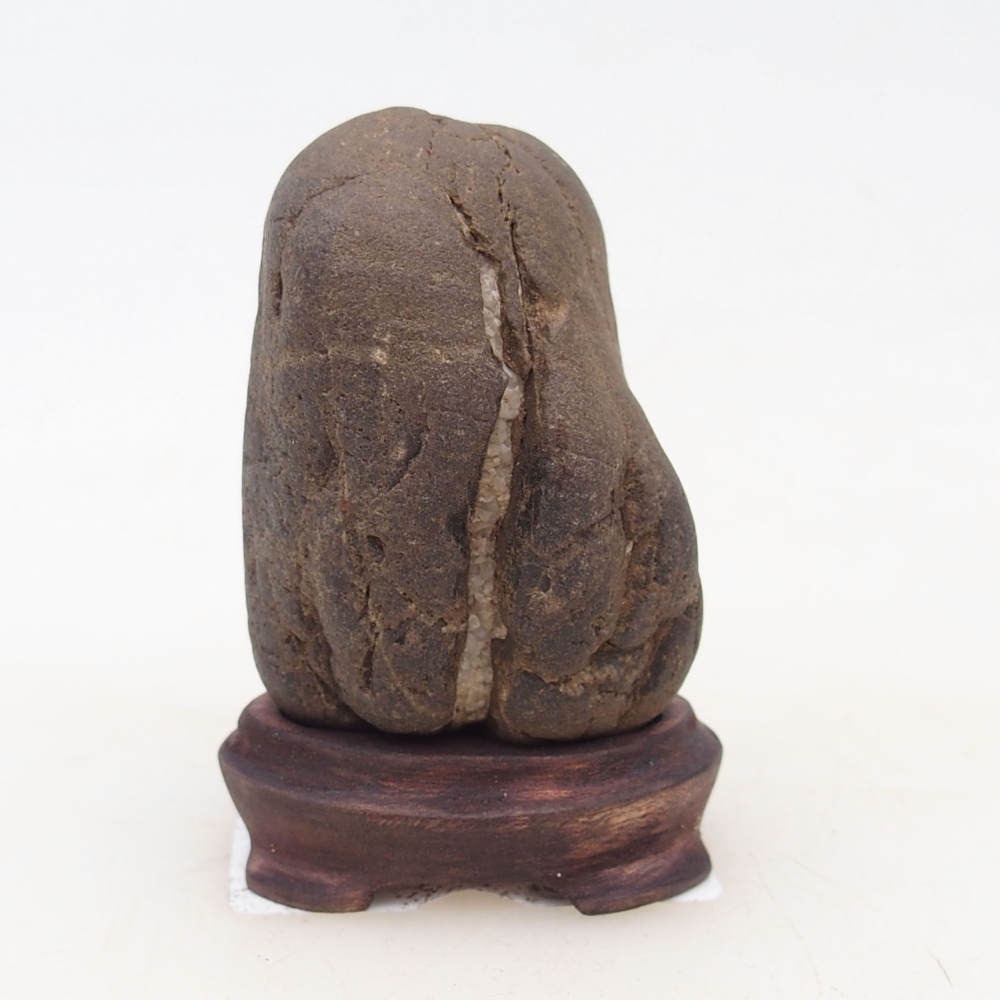 Suiseki - Kő DAI-val (fa alapon)