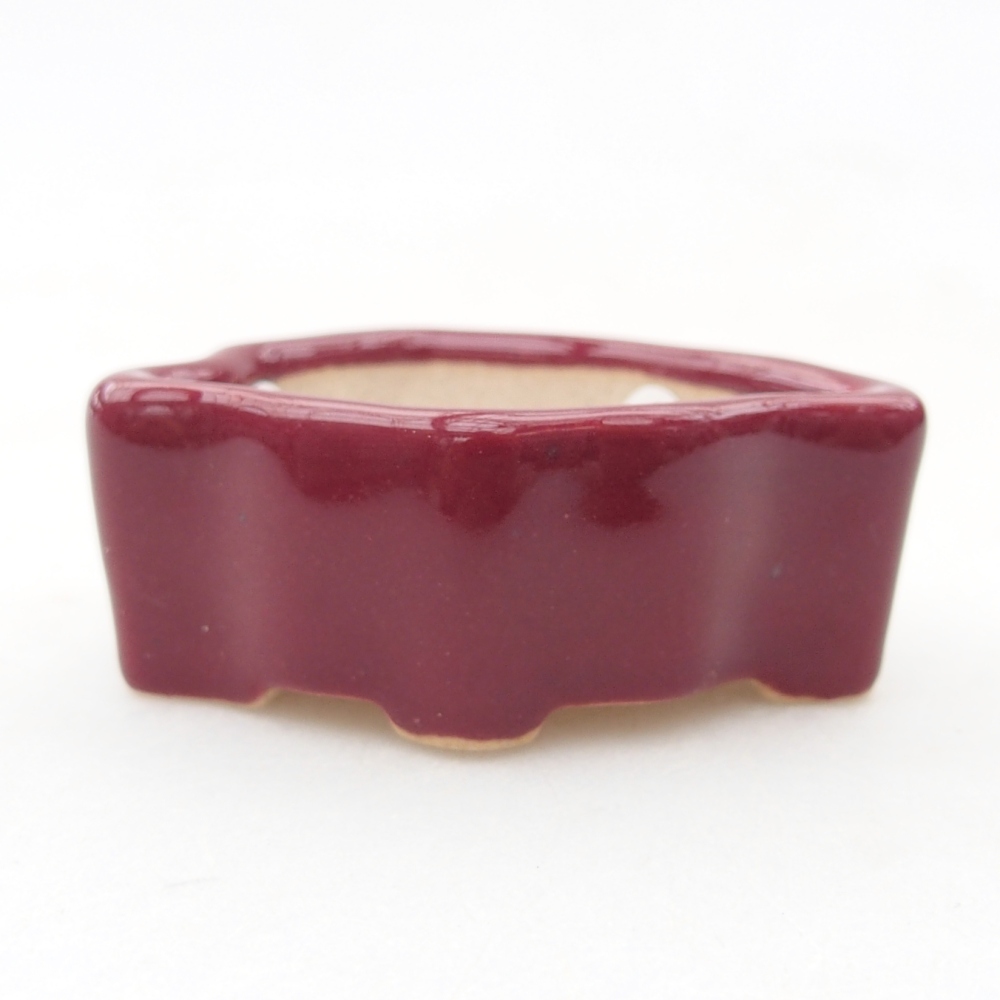 Mini bonsai tál 5 x 3 x 2 cm, bordó színű