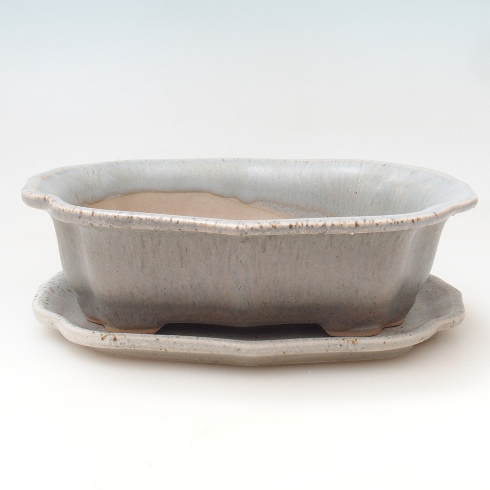 Bonsai tál + csészealj H51 - 18x14x5 cm - bézs színű