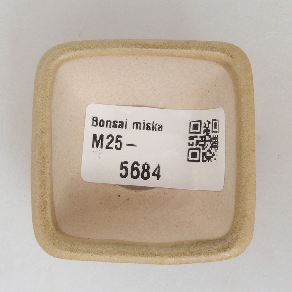 Mini bonsai tál 4,5 x 4,5 x 3 cm, barna
