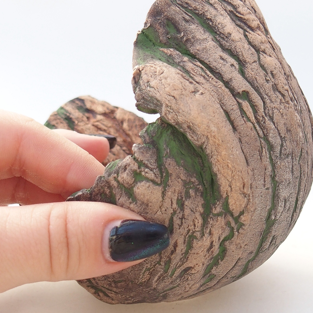 Kerámia kagyló 12 x 9,5 x 11 cm , zöld színű