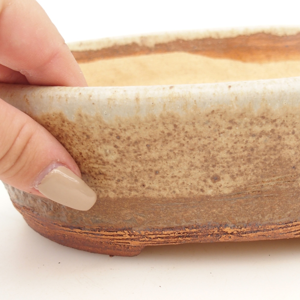 Bonsai tál 20 x 16 x 6,5 cm , bézs színű