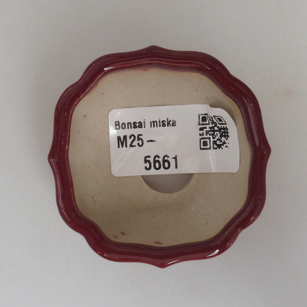 Mini bonsai tál 5,5 x 5,5 x 2,5 cm, bordó színben