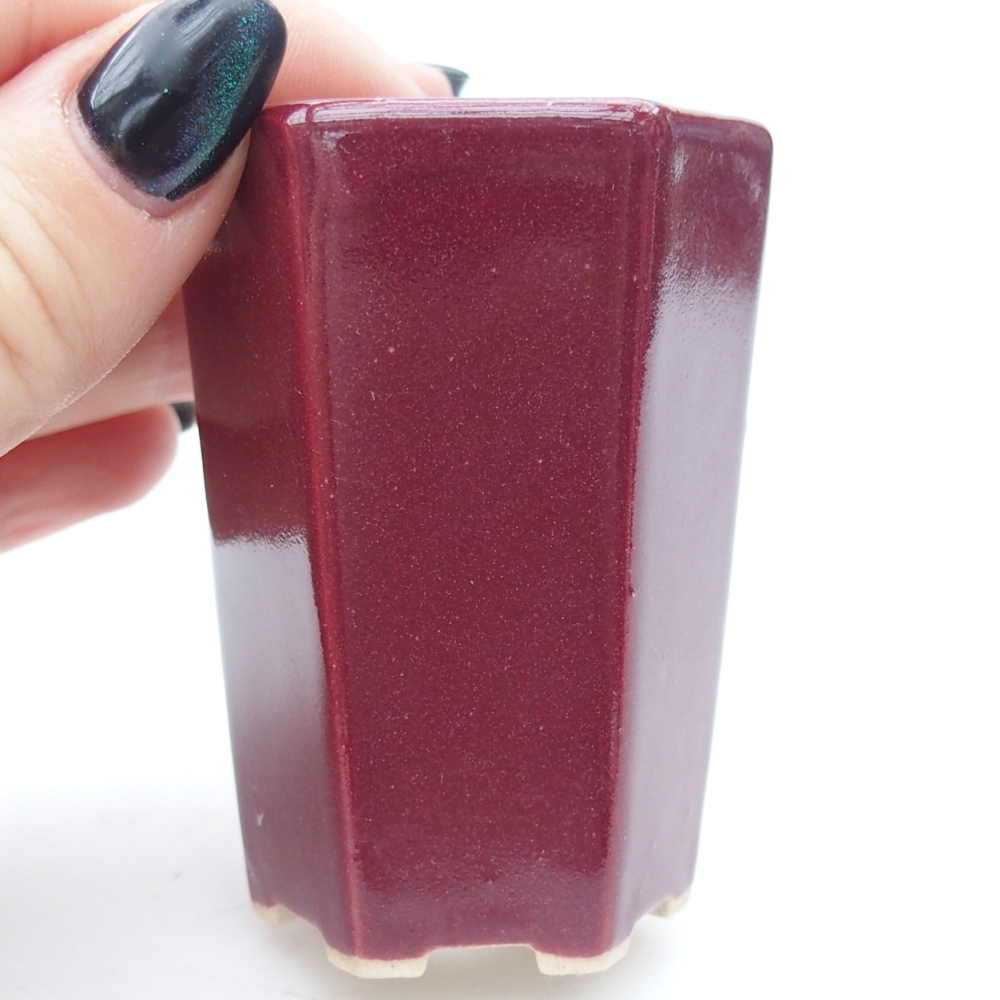 Mini bonsai tál 5 x 4,5 x 6,5 cm, bordó színben