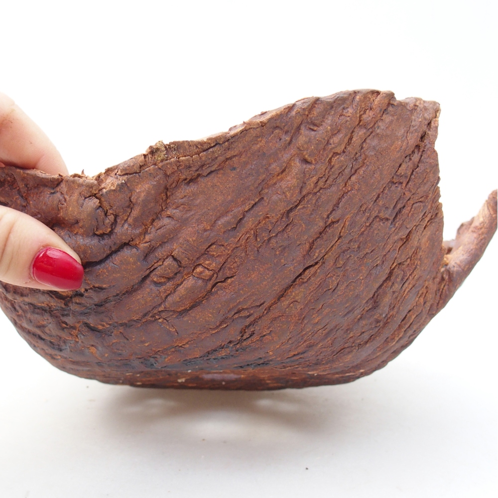 Kerámia kagyló 20 x 20 x 8 cm , barna színű