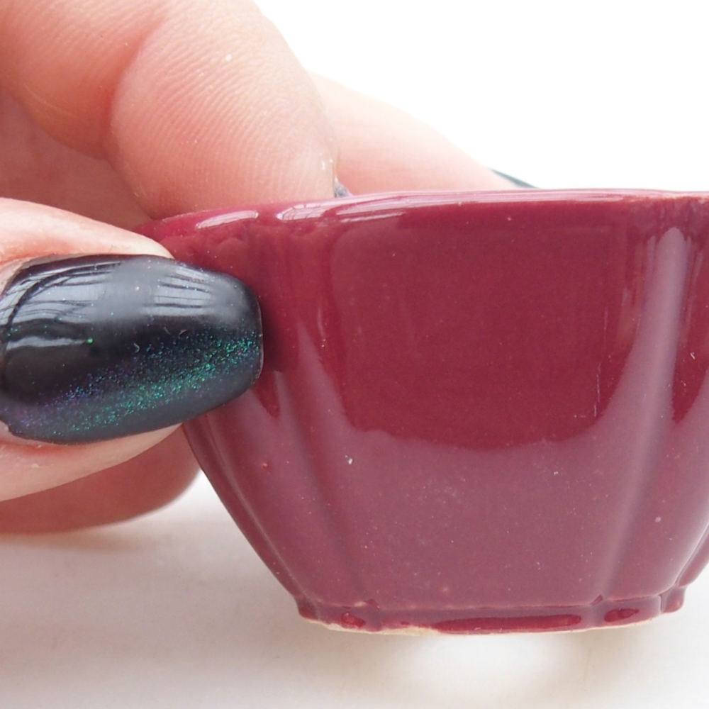 Mini bonsai tál 4,5 x 4,5 x 2,5 cm, bordó színben