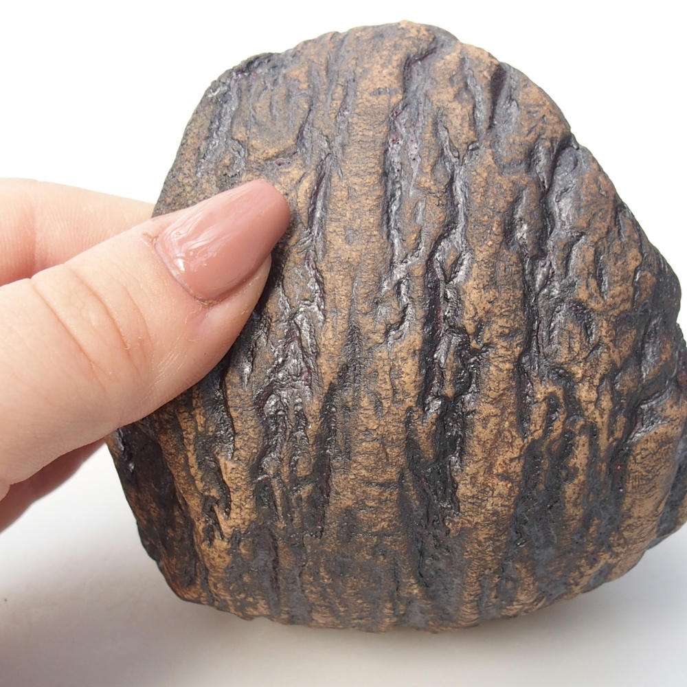 Kerámia kagyló 10 x 9 x 10 cm , barna színű