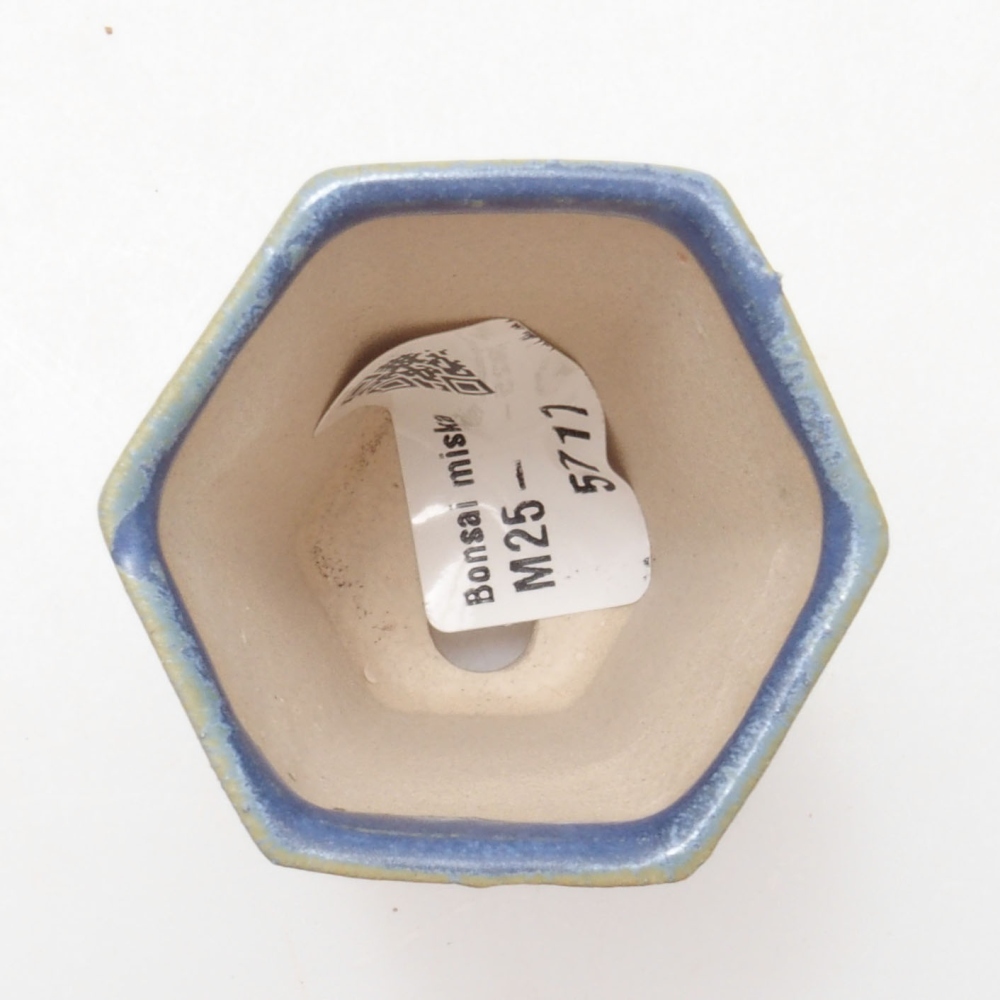 Mini bonsai tál 4,5 x 4,5 x 6,5 cm, kék színben