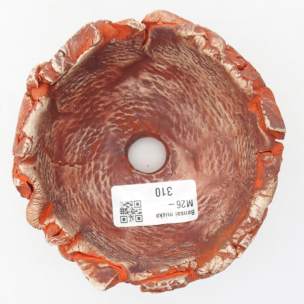 Kerámia kagyló 11 x 11 x 6,5 cm , narancssárga színű