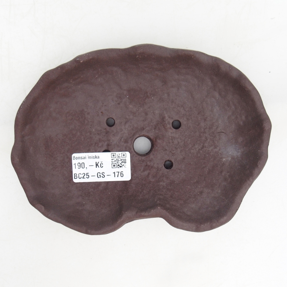 Kerámia kagyló 17 x 12 x 3 cm , színe barna