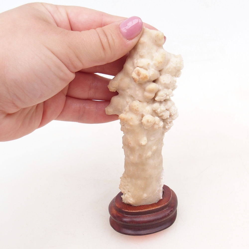 Suiseki - Kő DAI-val (fa alapon)