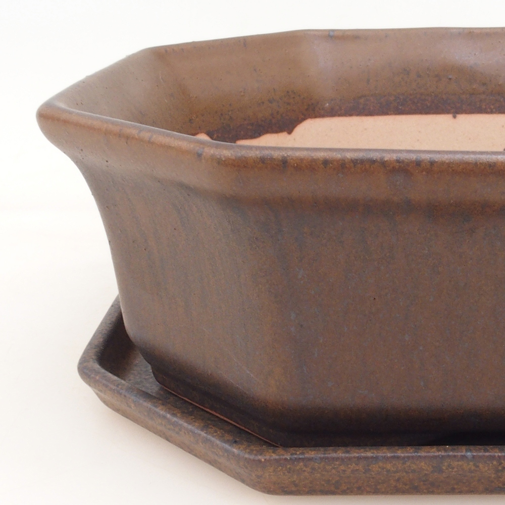 Bonsai tál + csészealj H14 - barna