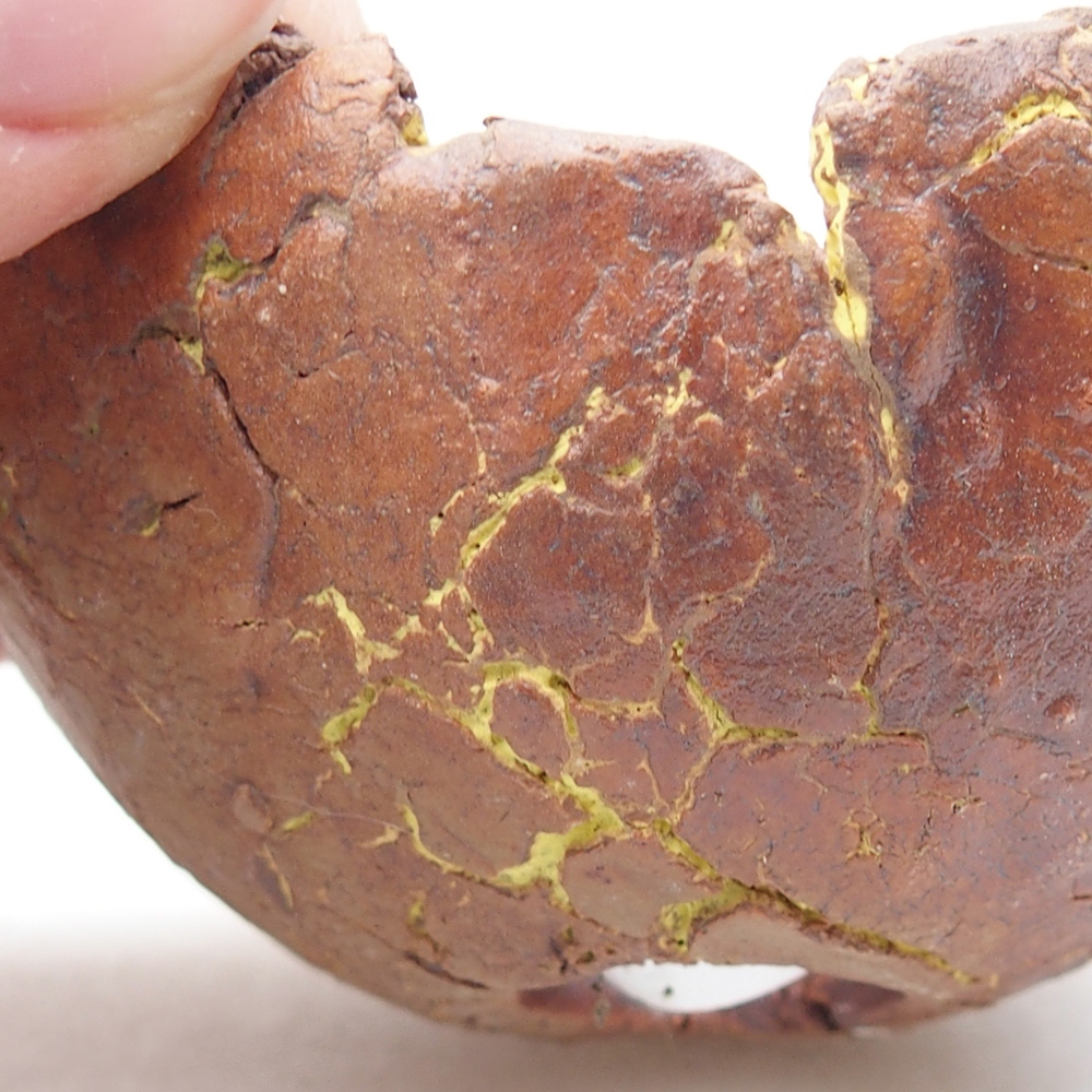 Kerámia kagyló 7 x 6,5 x 4 cm , sárga színű