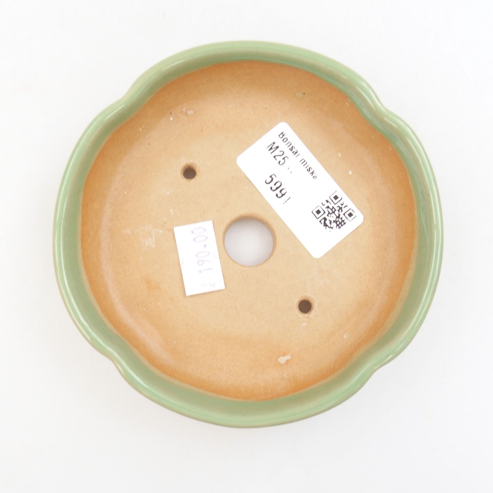 kerámia bonsai tál 22 x 17 x 5 cm, zöld