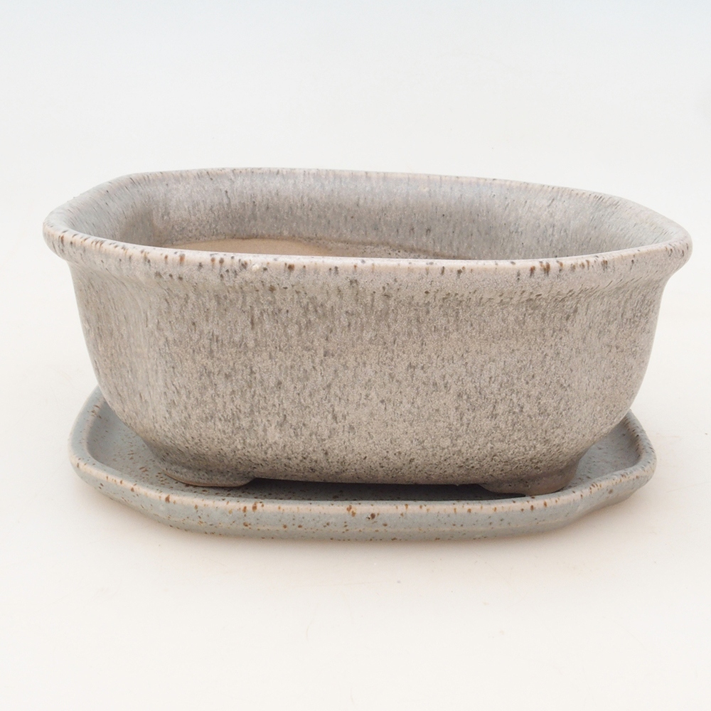 Bonsai tál + csészealj H31 - 14x12x6,5 cm