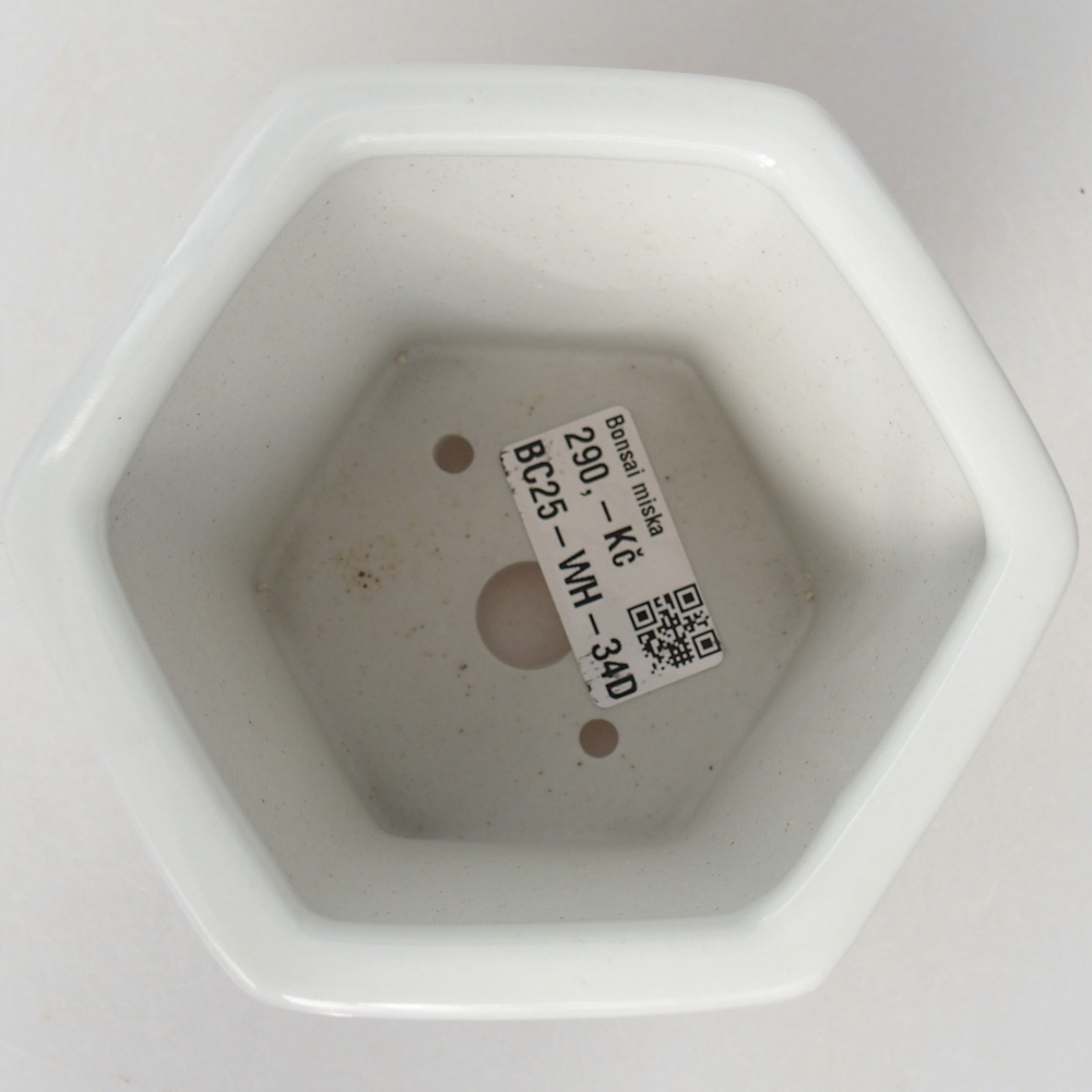 kerámia bonsai tál 10,5 x 9,5 x 9 cm, fehér színben