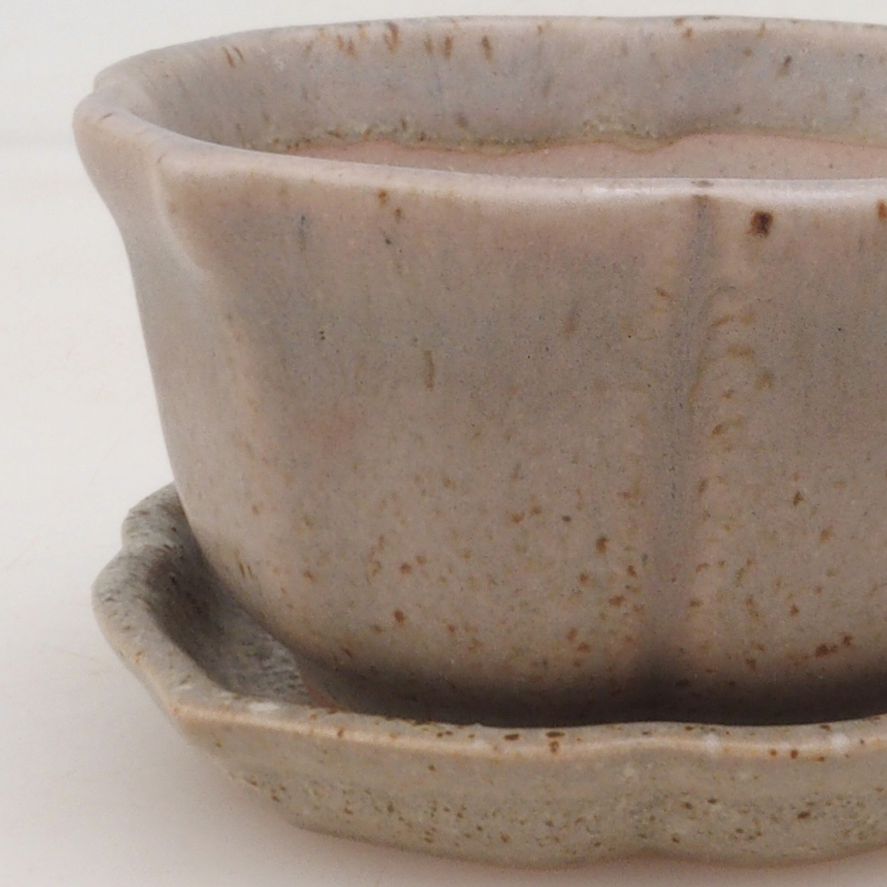 Bonsai tál + csészealj H95 - bézs színben