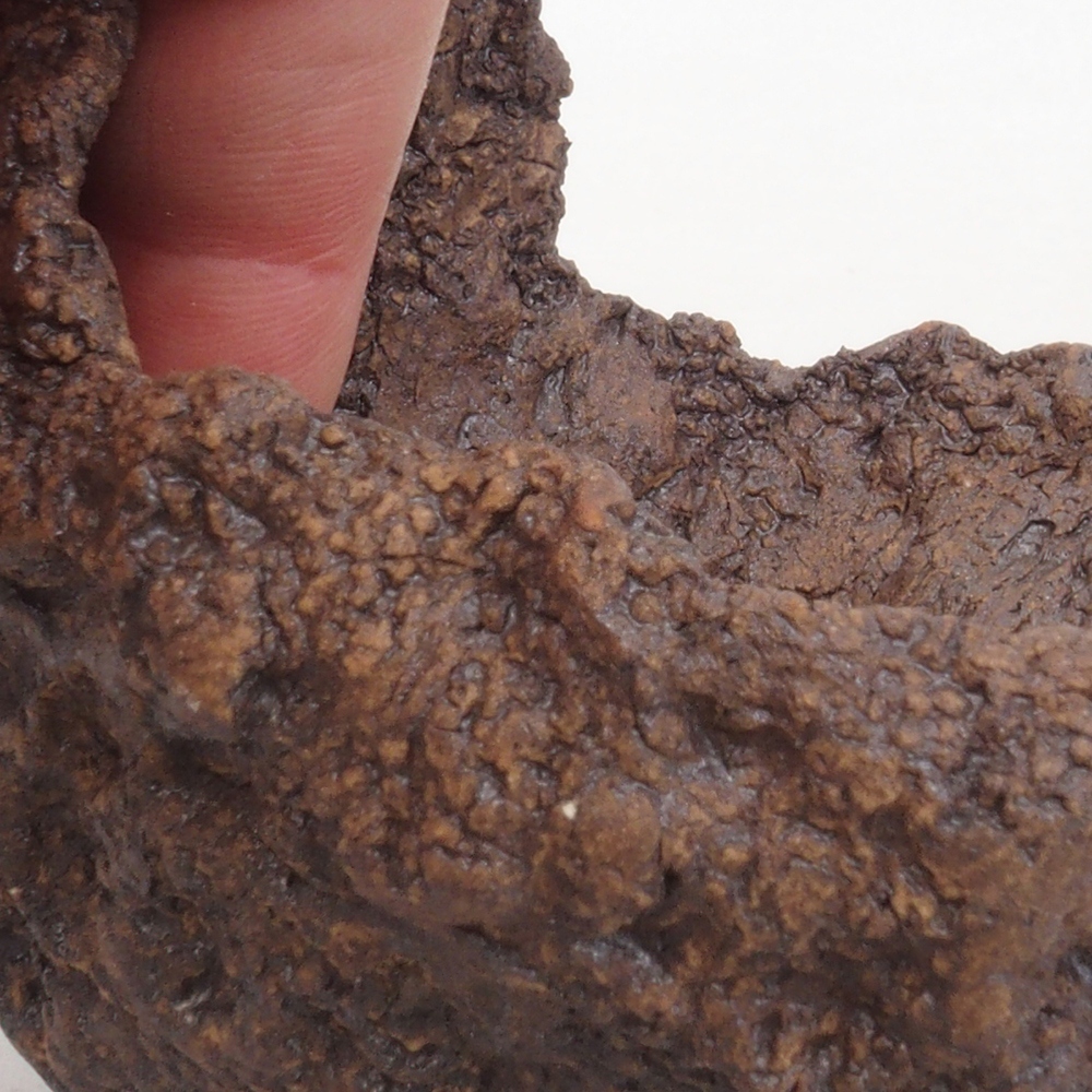 Kerámia kagyló 9 x 8 x 9,5 cm , színe barna