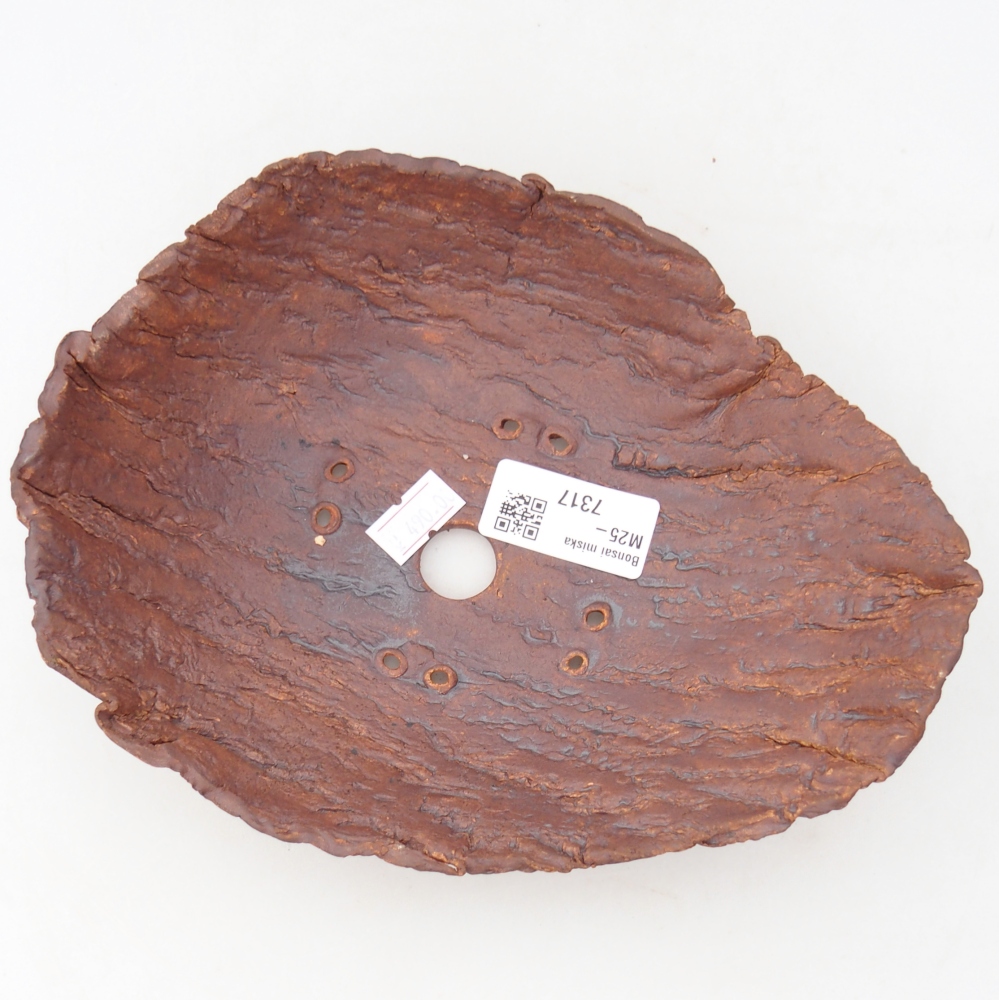 Kerámia kagyló 20 x 15 x 6 cm , barna színű