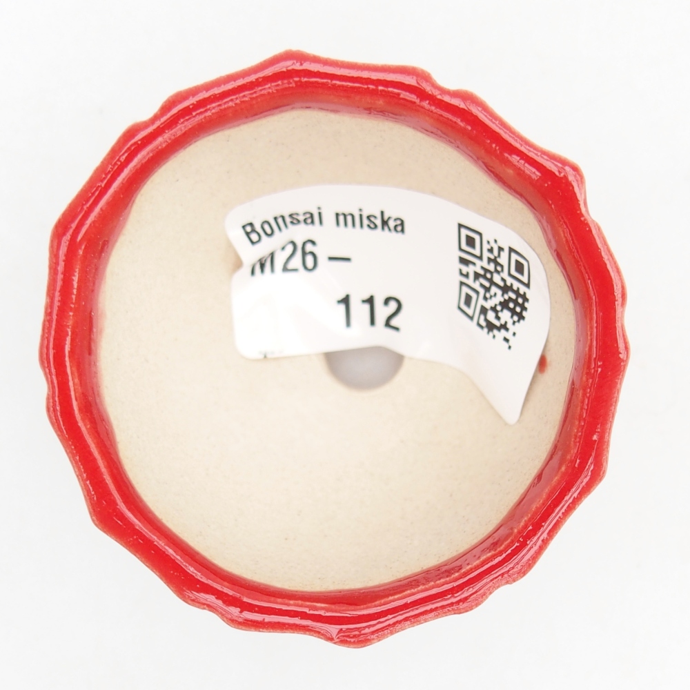 Mini bonsai tál 5,5 x 5,5 x 3,5 cm, piros színben