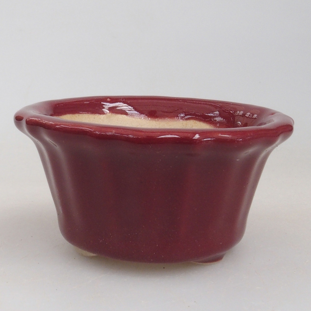 Mini bonsai tál 5 x 5 x 2,5 cm, bordó színben