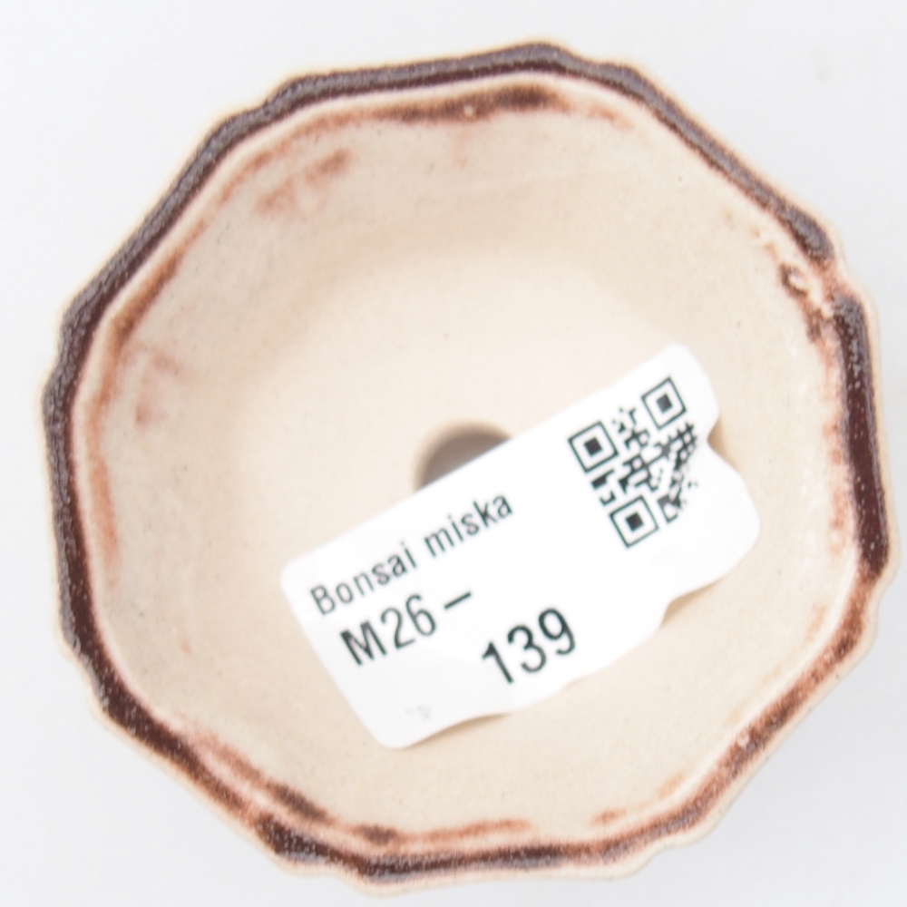 Mini bonsai tál 6 x 6 x 3 cm, rózsaszínű