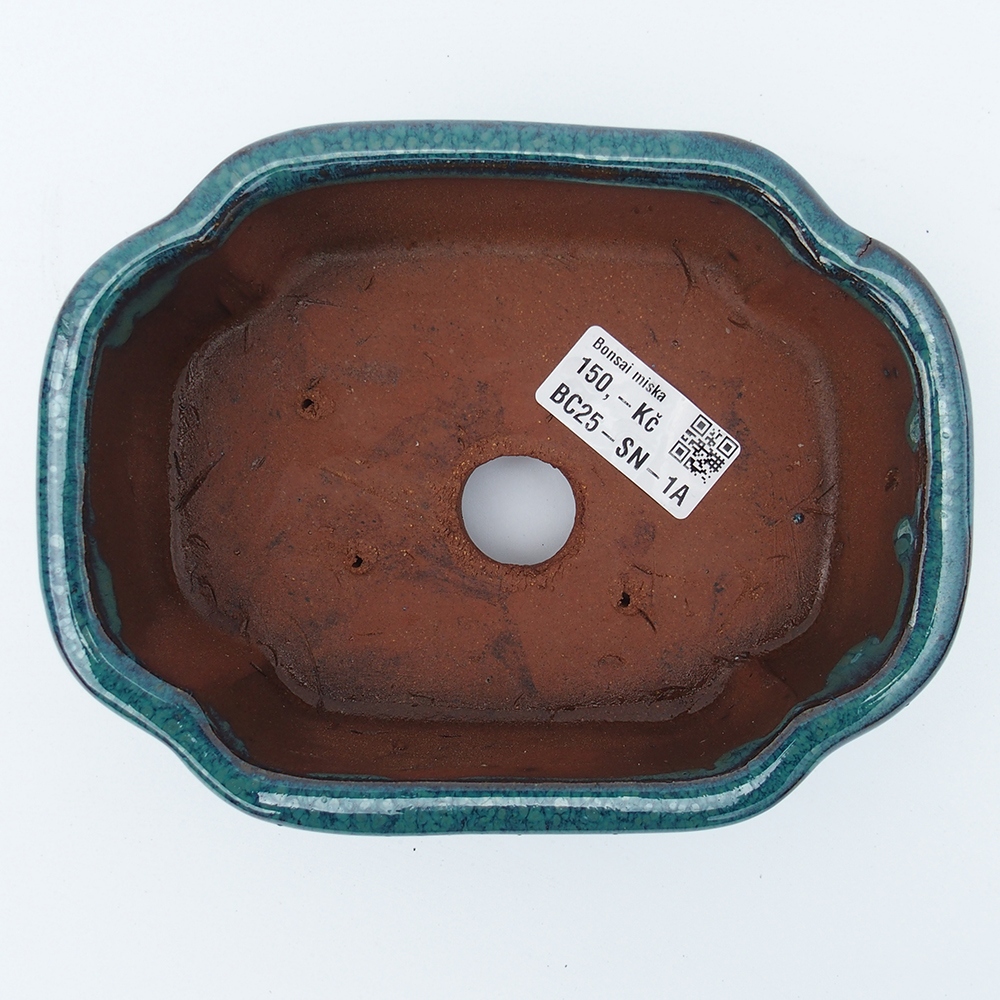 Tál 16 x 13 x 5,5 cm zöld-kék