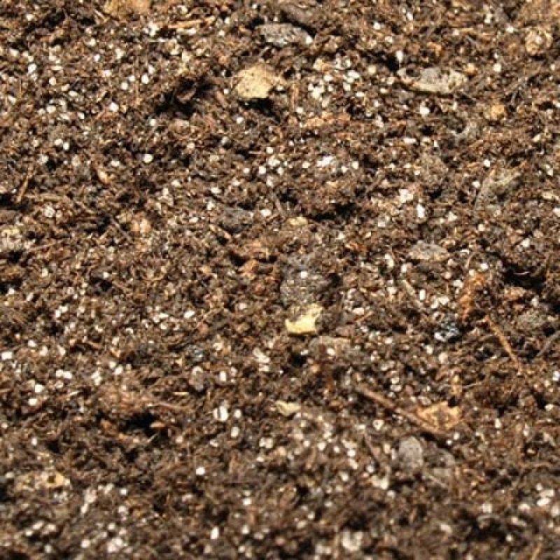 Talaj bonsai számára