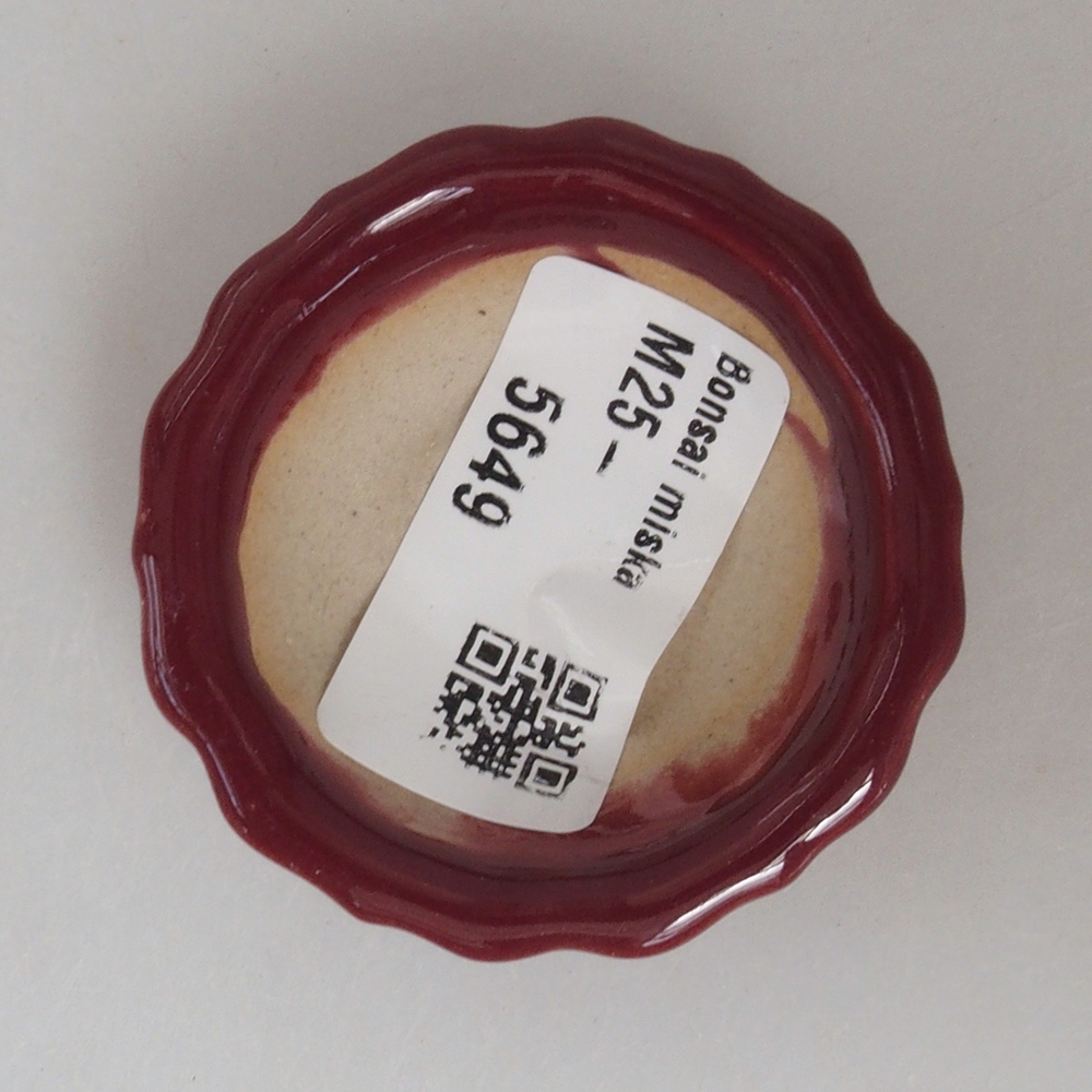 Mini bonsai tál 5 x 5 x 1,5 cm, bordó színben