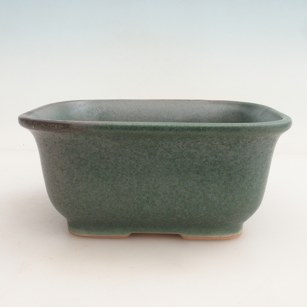 Bonsai tál + csészealj H36 - 17 x 15 x 7,5 cm. - zöld