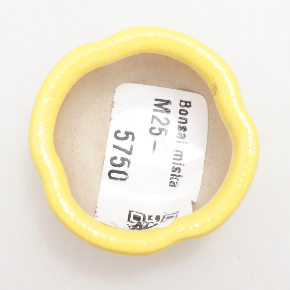 kerámia bonsai tál 4 x 4 x 2 cm, sárga