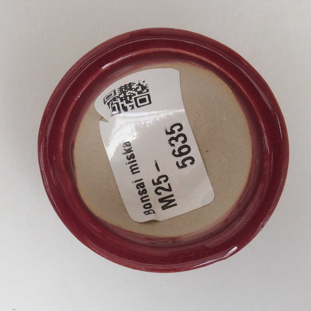 Mini bonsai tál 4,5 x 4,5 x 2,5 cm, bordó színben